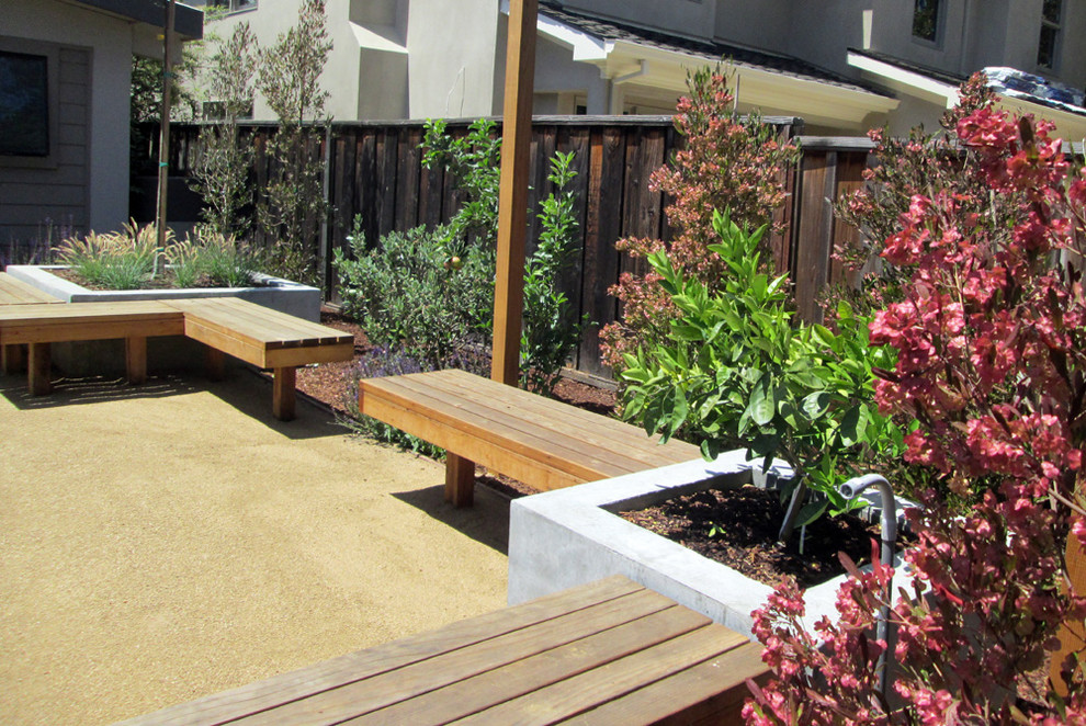 Foto di un piccolo giardino xeriscape minimalista esposto in pieno sole dietro casa in estate