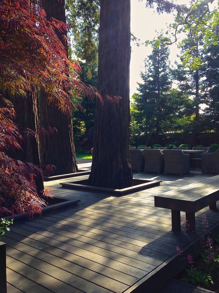 Großer, Geometrischer, Schattiger Klassischer Garten hinter dem Haus, im Frühling mit Dielen in San Francisco