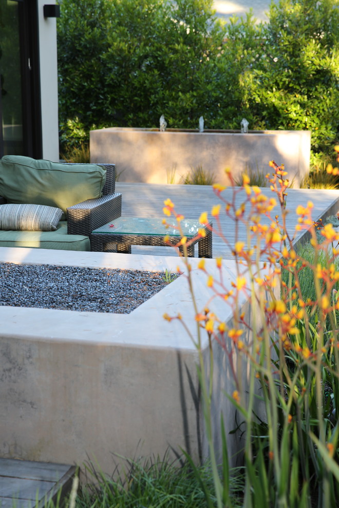 Photo of a large contemporary full sun landscaping in San Francisco.