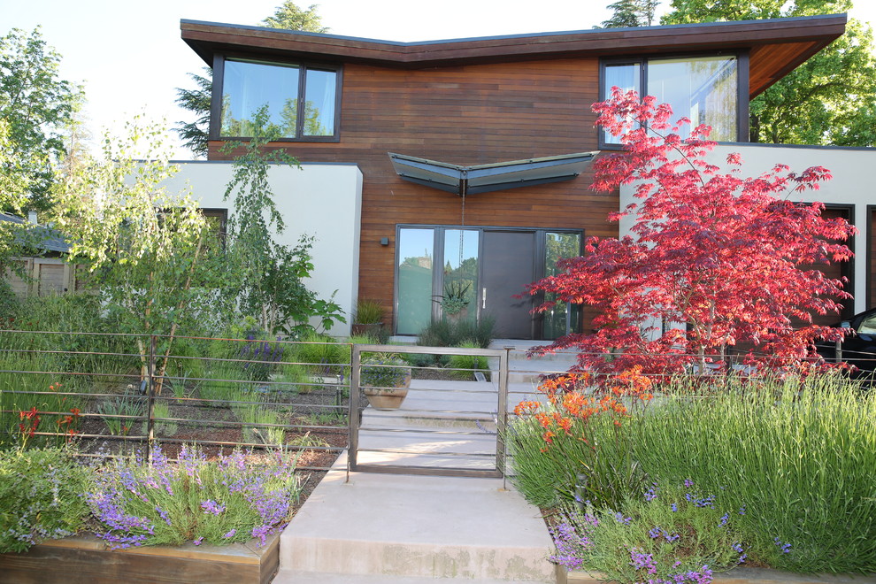 Стильный дизайн: большой солнечный участок и сад в современном стиле с хорошей освещенностью - последний тренд
