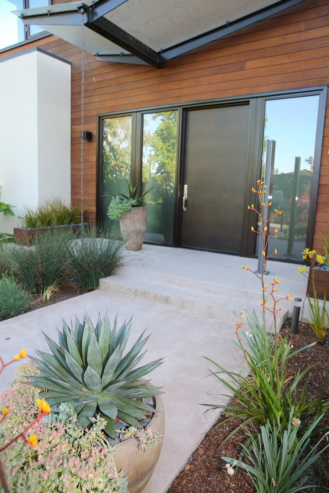 Photo of a large contemporary full sun landscaping in San Francisco.