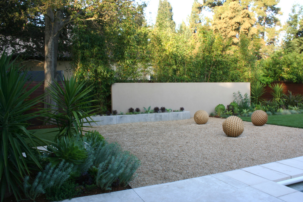 Photo of a contemporary backyard gravel landscaping in San Francisco.