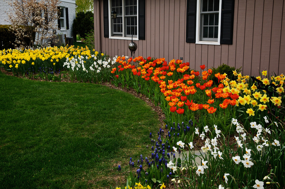 Идея дизайна: весенний участок и сад среднего размера на переднем дворе в классическом стиле с мульчированием, клумбами и полуденной тенью