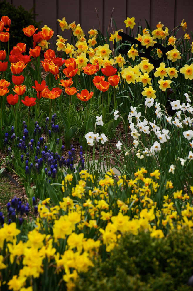 Cette photo montre un jardin avant chic de taille moyenne et au printemps avec un paillis, un massif de fleurs et une exposition partiellement ombragée.