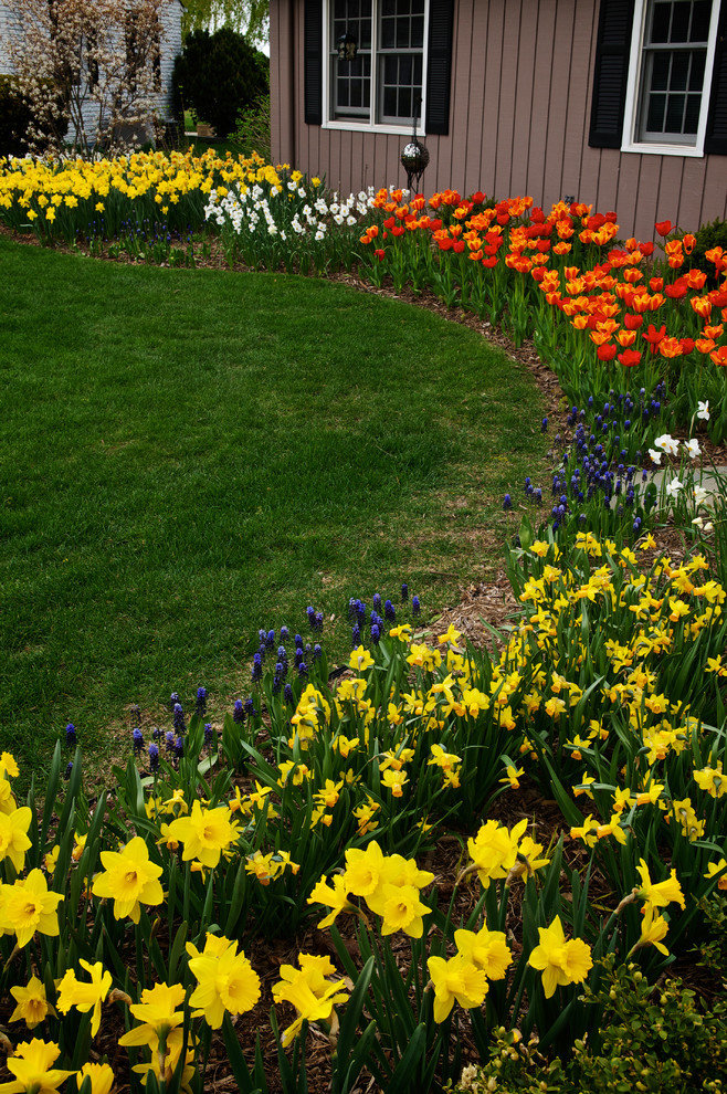 This is an example of a mid-sized traditional partial sun front yard mulch flower bed in Milwaukee for spring.