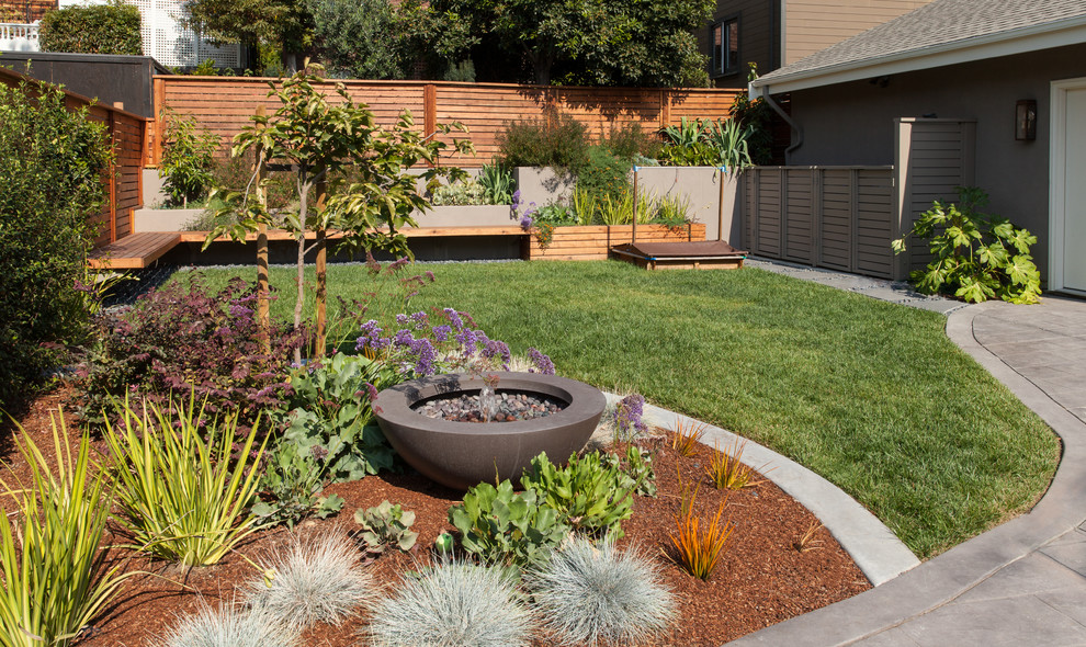 サンフランシスコにある広いトランジショナルスタイルのおしゃれな庭 (半日向、コンクリート敷き	) の写真