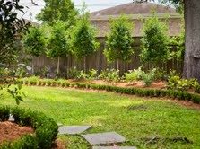This is an example of a traditional landscaping in New Orleans.