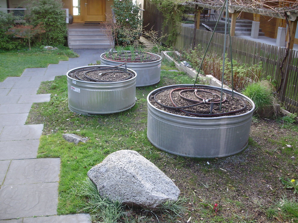Contemporary garden in Seattle.