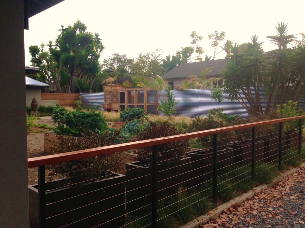 Mittelgroßer Moderner Garten mit direkter Sonneneinstrahlung in San Diego