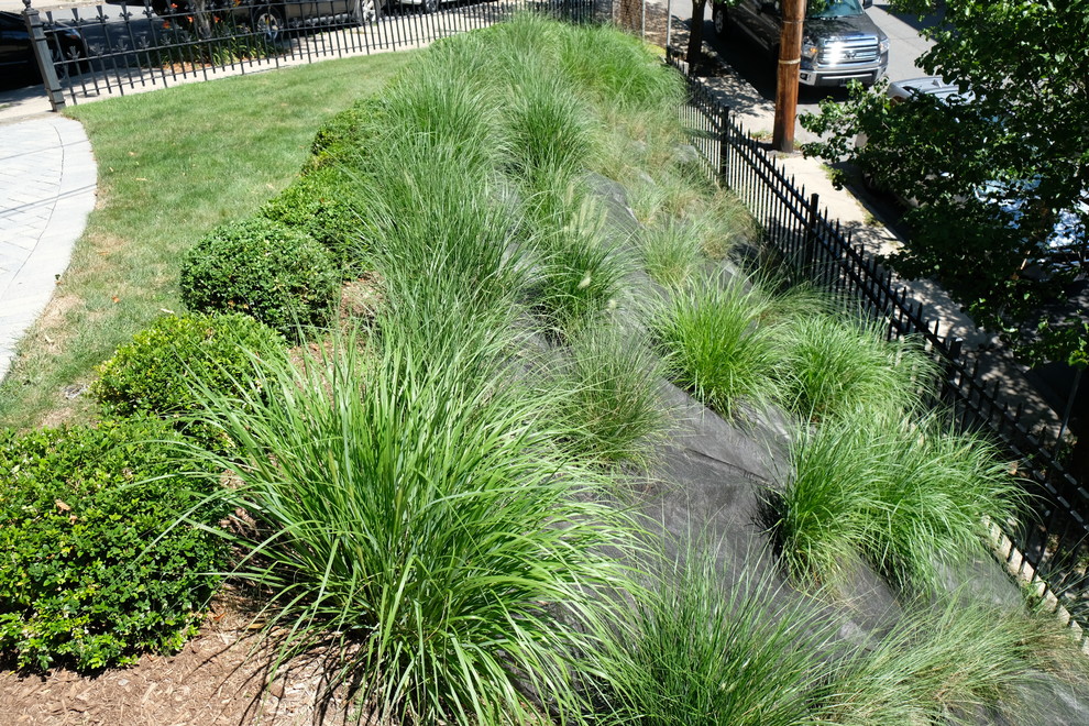 Ispirazione per un giardino xeriscape chic esposto in pieno sole di medie dimensioni in autunno con un pendio, una collina o una riva e pavimentazioni in cemento