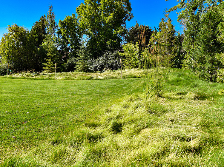 Meule Blanc Modern Landscape Boise by Stack Rock Group