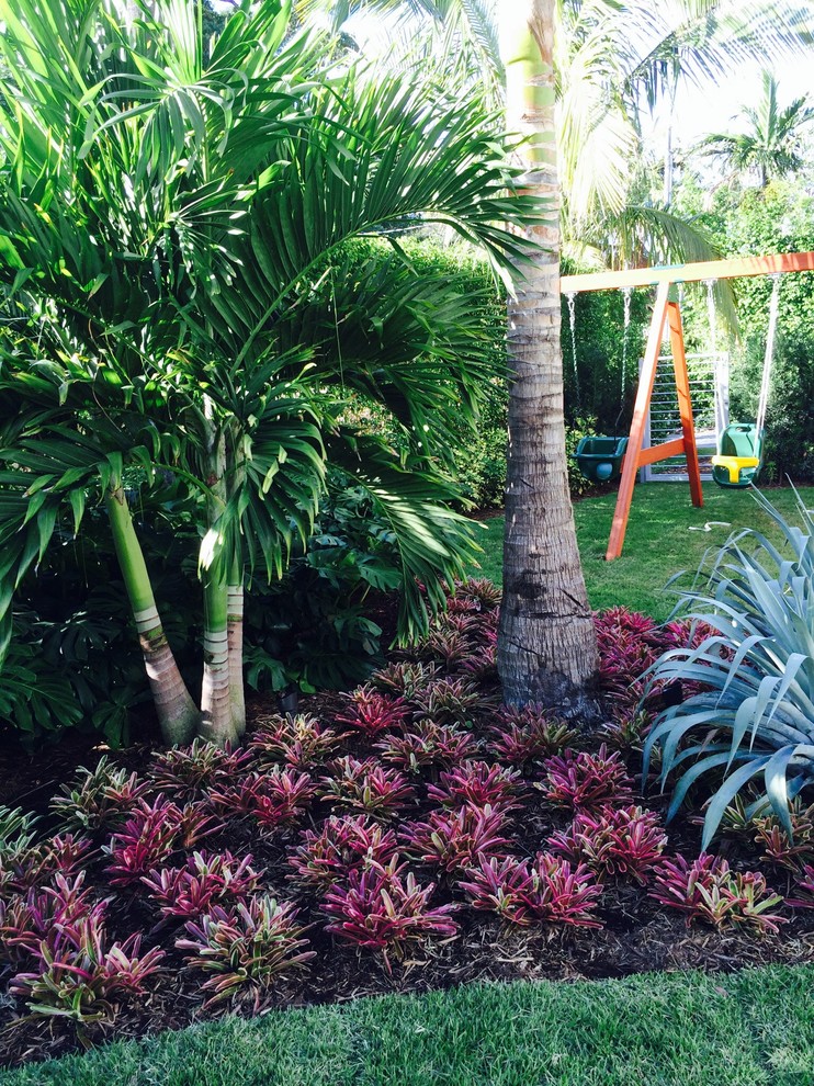 Design ideas for a tropical landscaping in Miami.
