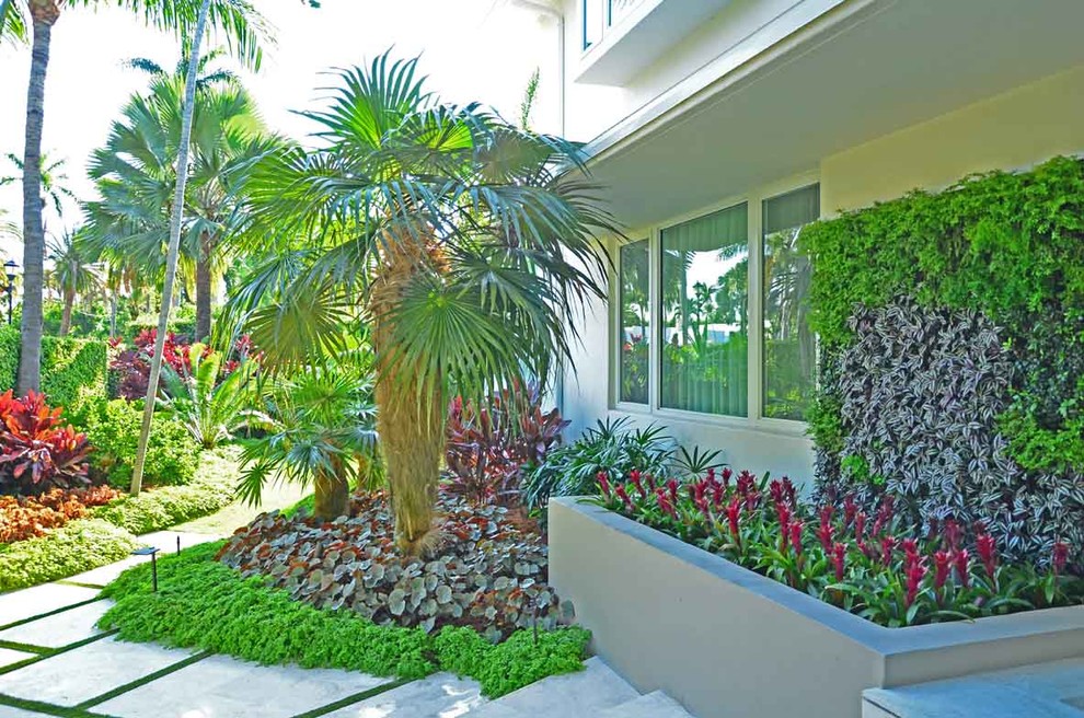 Inspiration for a mid-sized tropical full sun front yard concrete paver landscaping in Miami.