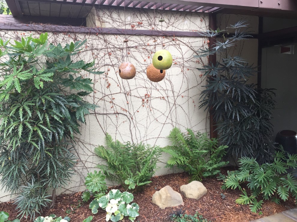 Mittelgroßer, Halbschattiger Moderner Garten im Innenhof in Los Angeles