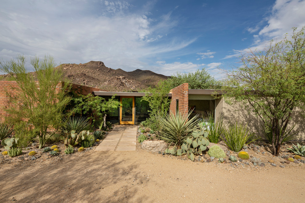 Photo of a mid-century modern drought-tolerant front yard landscaping in Phoenix.