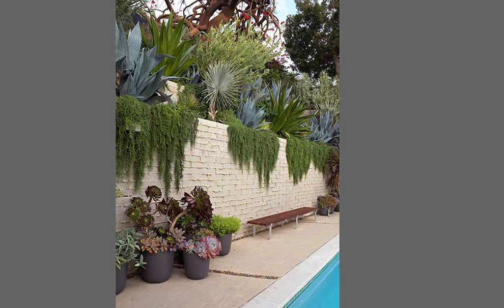 Inspiration for a mid-sized mid-century modern hillside retaining wall landscape in Los Angeles.