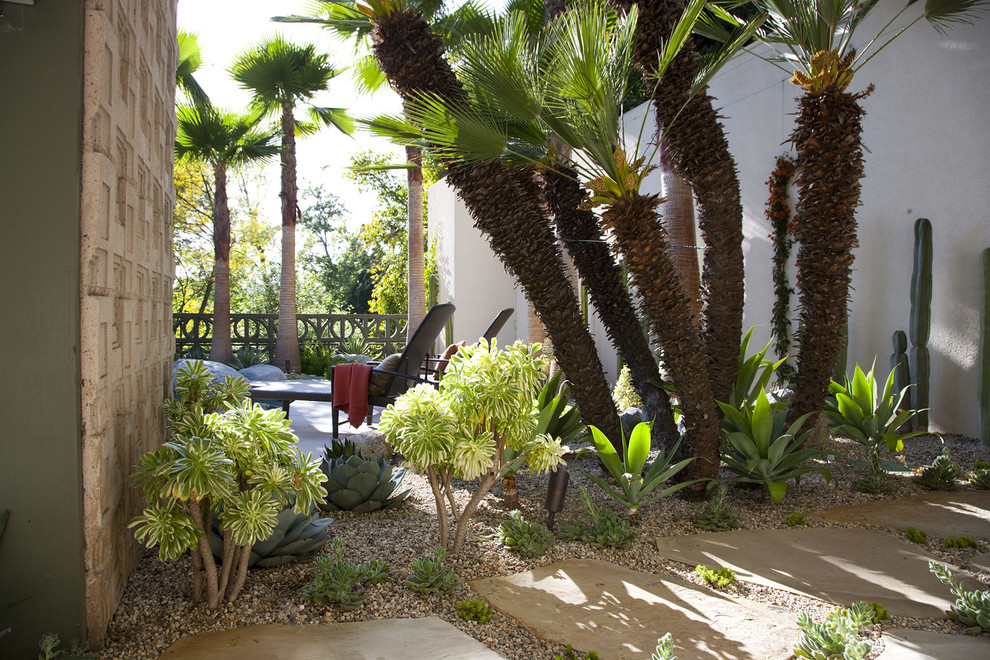 Ispirazione per un giardino xeriscape minimalista di medie dimensioni e dietro casa con ghiaia