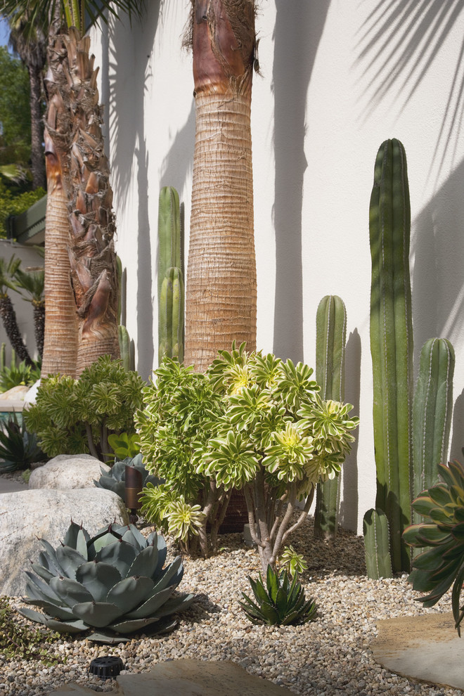 Idee per un giardino xeriscape minimalista esposto in pieno sole di medie dimensioni e dietro casa con ghiaia
