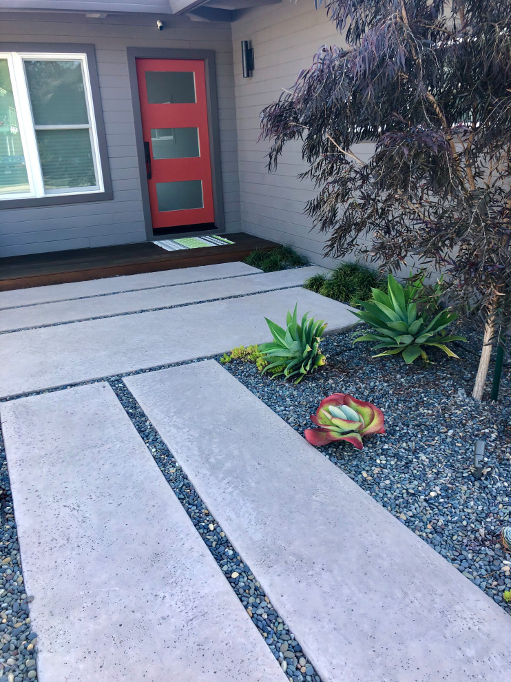 Imagen de jardín de secano retro pequeño en patio delantero con camino de entrada, exposición parcial al sol y adoquines de hormigón