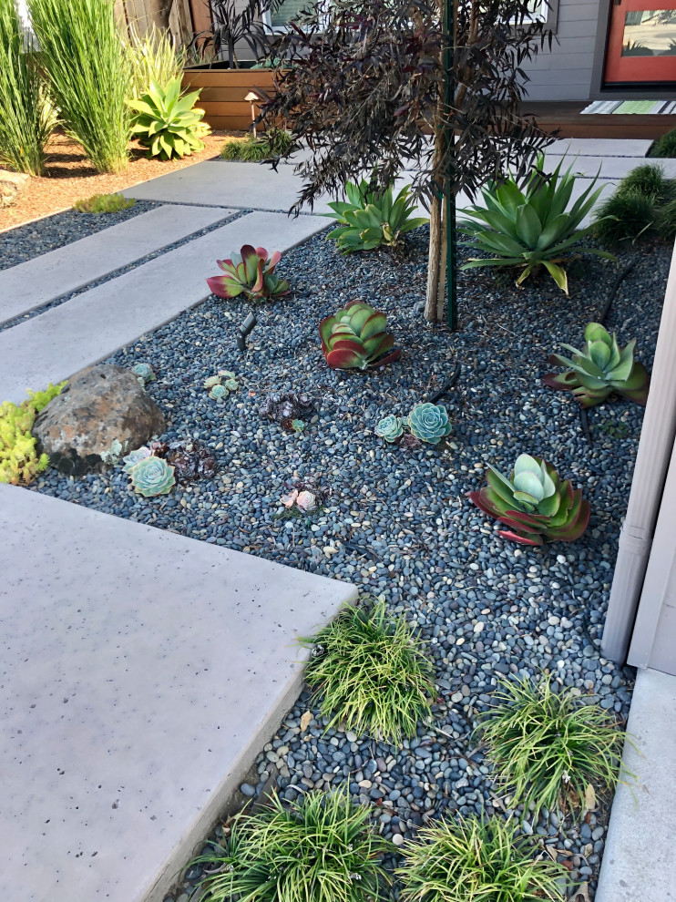 Стильный дизайн: маленький засухоустойчивый сад на переднем дворе в стиле ретро с камнем в ландшафтном дизайне, полуденной тенью и покрытием из гравия для на участке и в саду - последний тренд