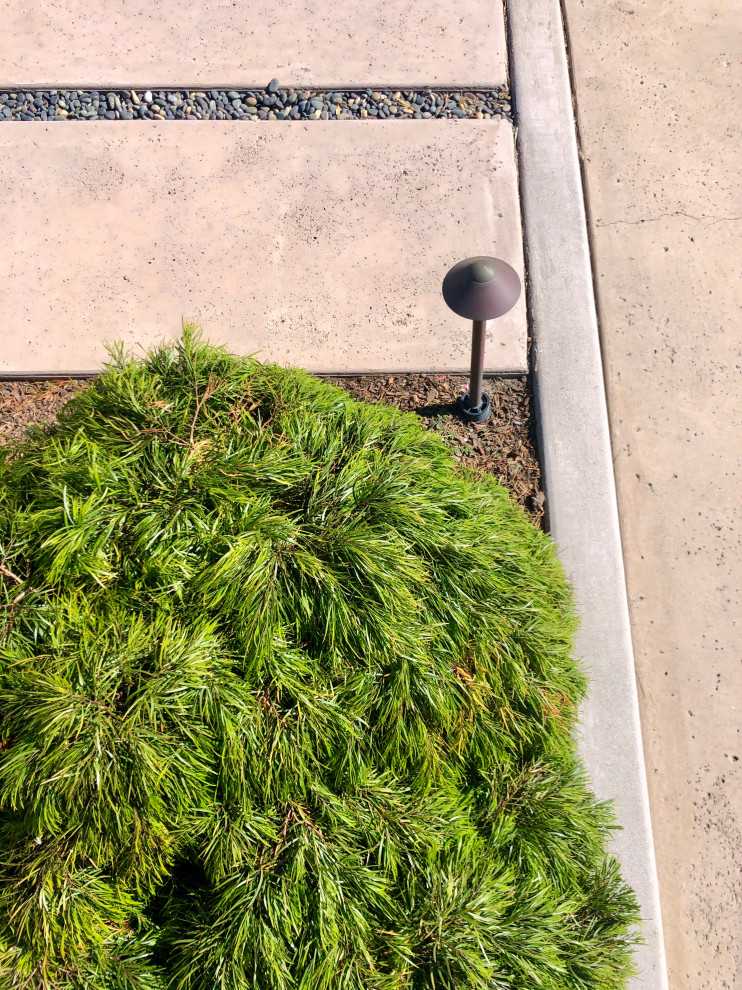 На фото: маленький засухоустойчивый сад на переднем дворе в стиле ретро с дорожками, полуденной тенью и мощением тротуарной плиткой для на участке и в саду с