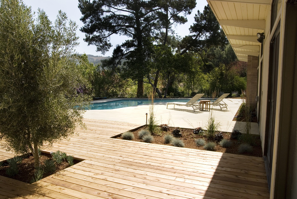 Стильный дизайн: большой солнечный засухоустойчивый сад на заднем дворе в стиле модернизм с настилом и хорошей освещенностью - последний тренд