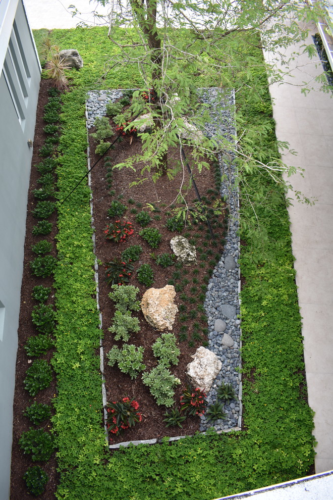 Стильный дизайн: регулярный сад среднего размера на переднем дворе в современном стиле с садовой дорожкой или калиткой и полуденной тенью - последний тренд