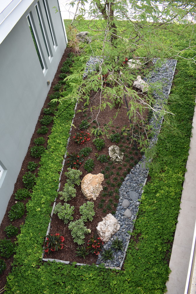 Пример оригинального дизайна: регулярный сад среднего размера на переднем дворе в современном стиле с садовой дорожкой или калиткой и полуденной тенью