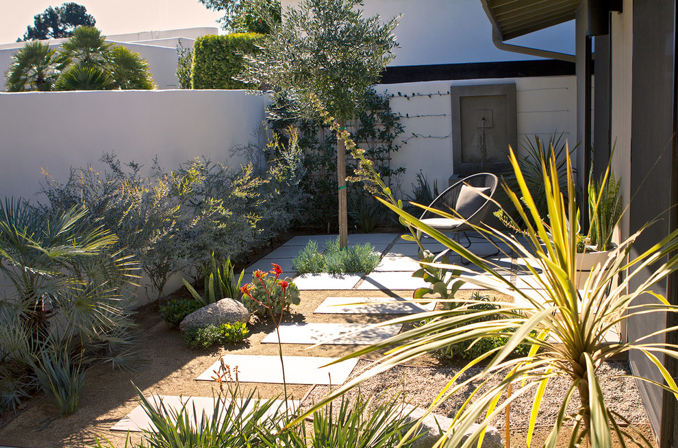Ispirazione per un piccolo giardino xeriscape minimalista in cortile con fontane e pavimentazioni in cemento