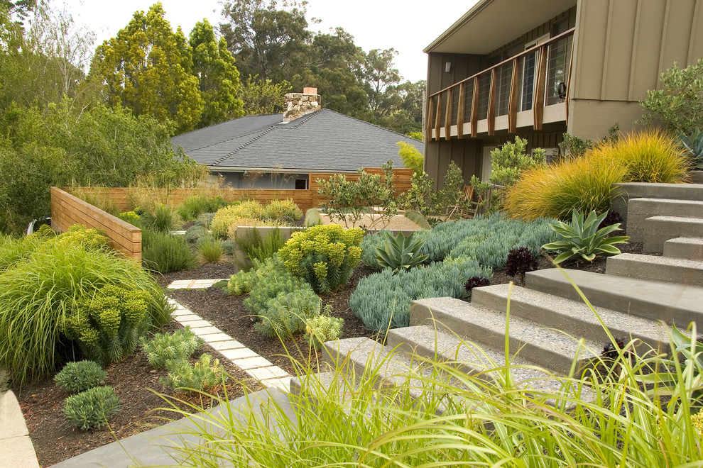 Design ideas for a mid-century modern landscaping in San Luis Obispo.