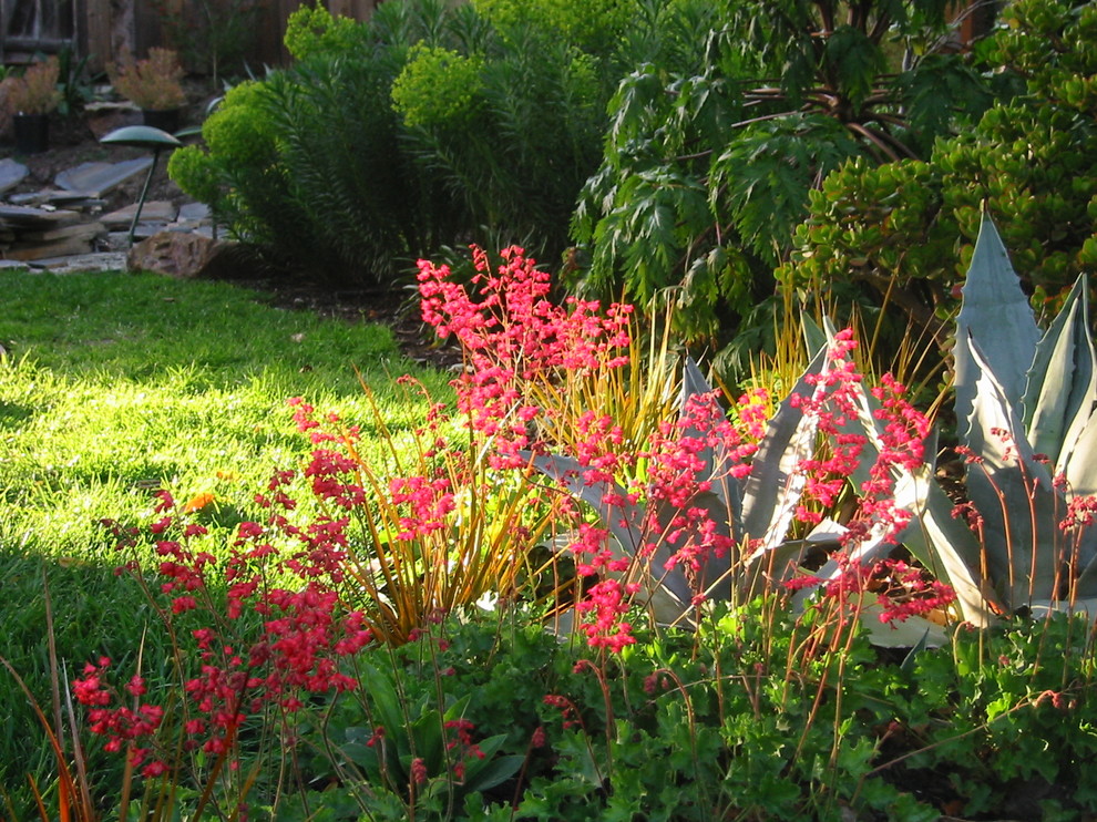 Ispirazione per un grande giardino formale chic esposto a mezz'ombra dietro casa in primavera con un giardino in vaso e ghiaia
