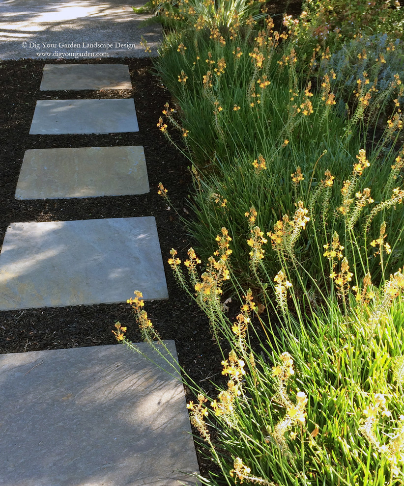Foto di un piccolo giardino design esposto a mezz'ombra davanti casa in estate con un ingresso o sentiero e pavimentazioni in pietra naturale