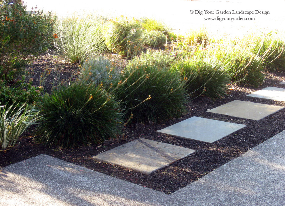 Photo of a small modern front xeriscape fully shaded garden for spring in San Francisco with natural stone paving and a garden path.