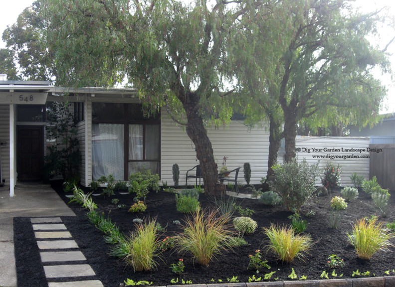 Ispirazione per un giardino xeriscape minimalista esposto a mezz'ombra di medie dimensioni e davanti casa in estate con pavimentazioni in cemento