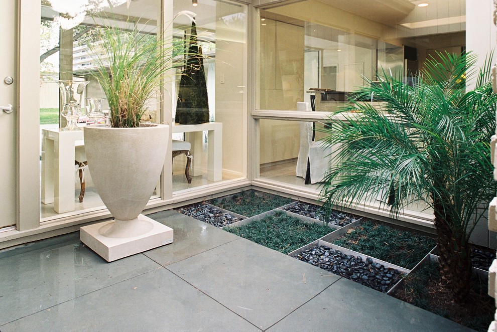 Design ideas for a medium sized modern courtyard garden in Houston with an outdoor sport court and concrete paving.