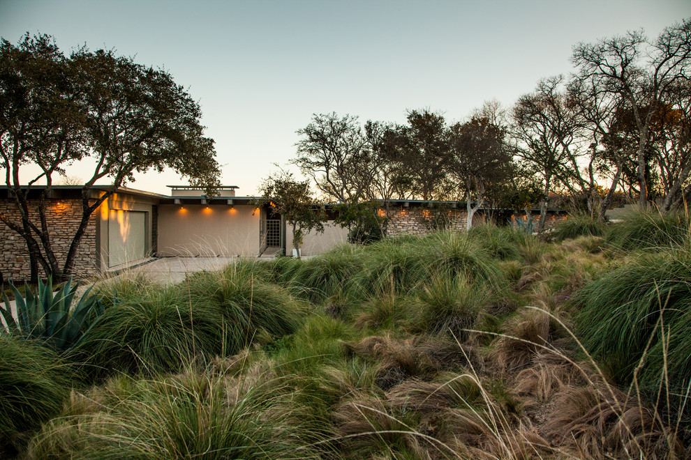 This is an example of a mid-century modern landscaping in Austin.