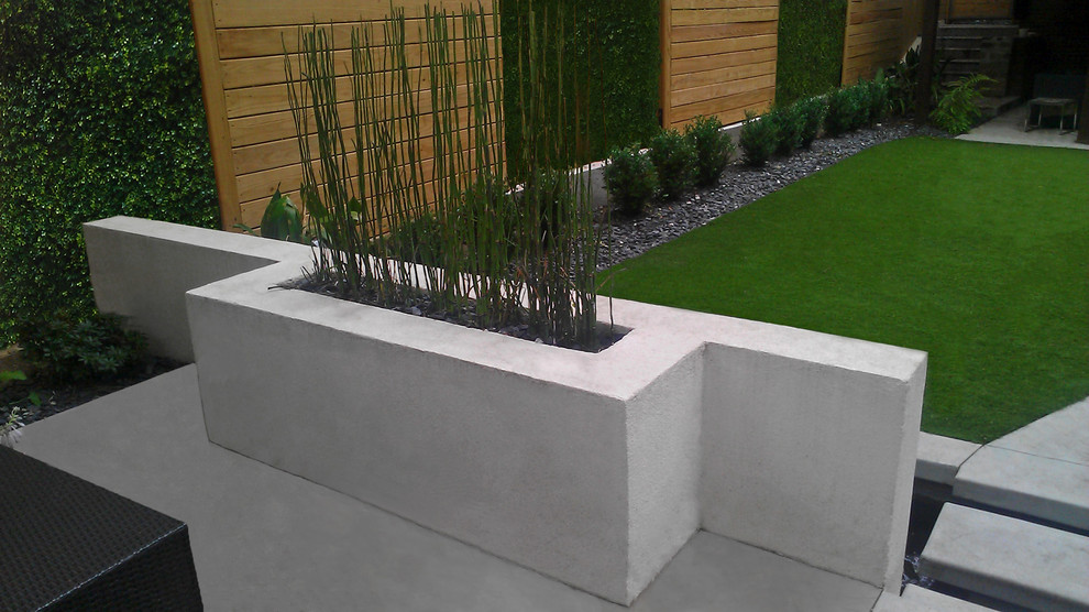 Cette image montre un petit jardin à la française arrière minimaliste avec un point d'eau et une exposition ombragée.