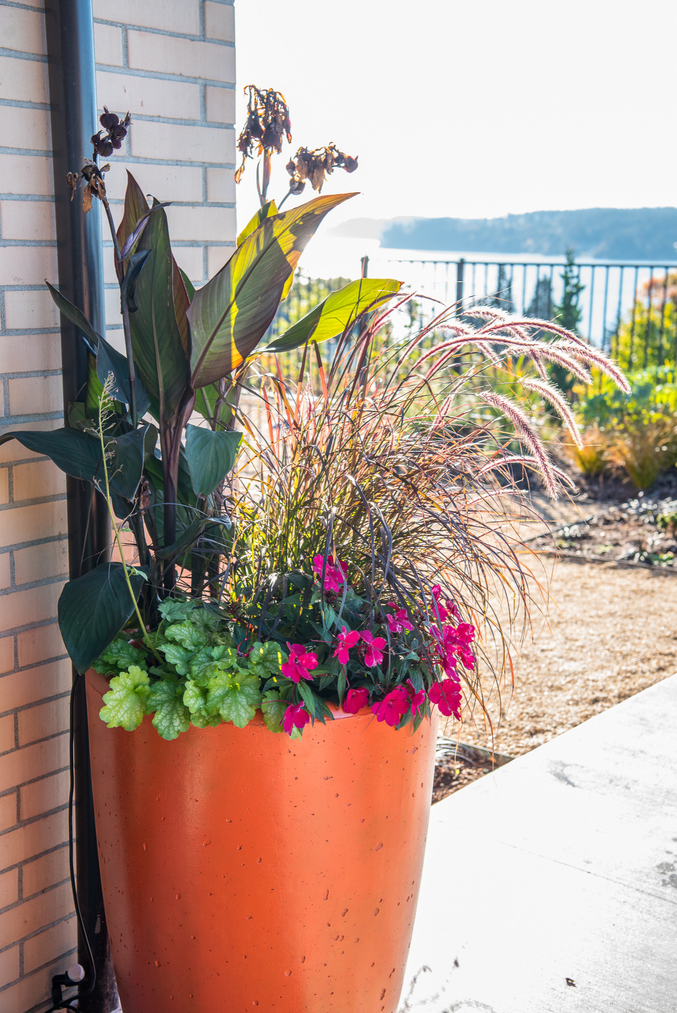 springhetti custom outdoor living on 75 Beautiful Mid Century Modern Retaining Wall Design Houzz Pictures Ideas May 2021 Houzz