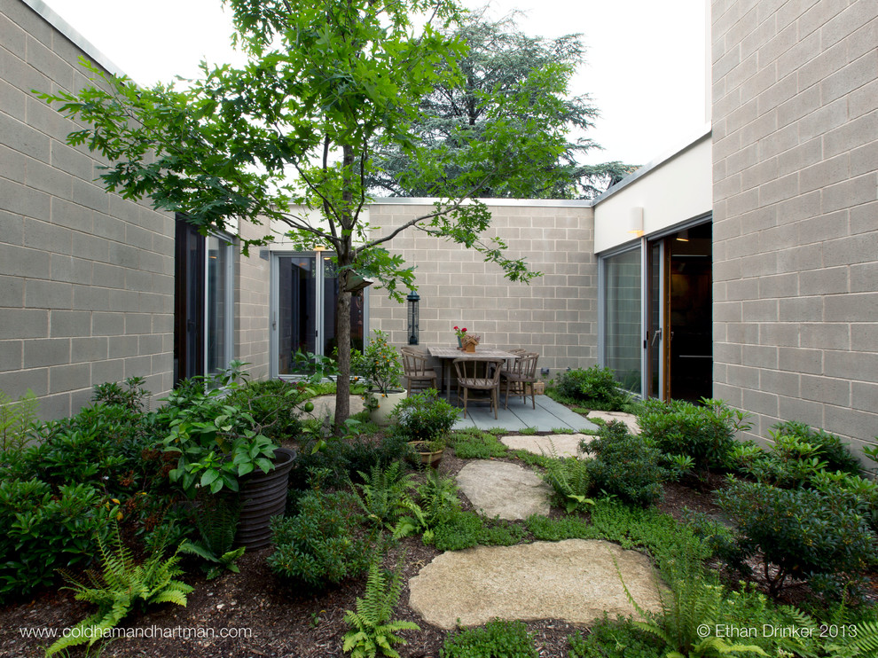 This is an example of a mid-sized mid-century modern drought-tolerant and partial sun courtyard stone garden path in New York.