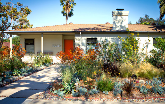 Mid Century Organic Flow Drought Tolerant Lanscape MidCentury