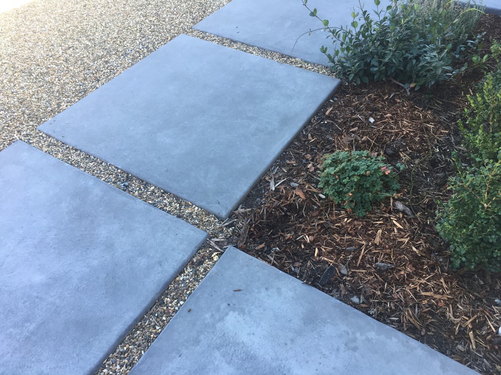 Photo of a small mid-century modern drought-tolerant and full sun backyard concrete paver landscaping in San Francisco for spring.