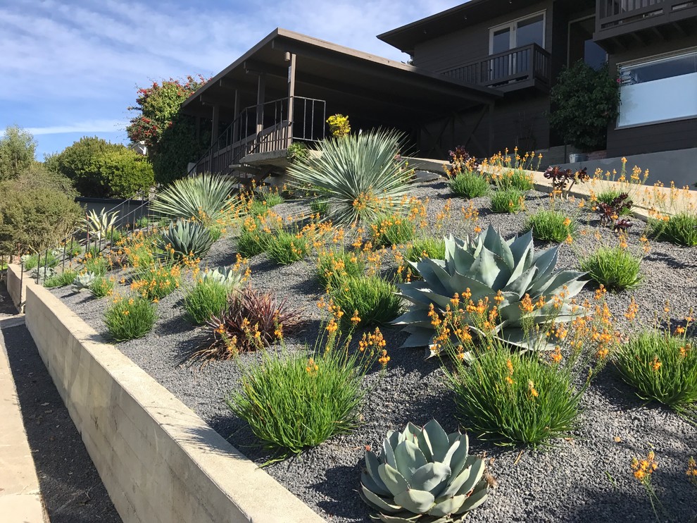 Design ideas for a medium sized retro front xeriscape full sun garden in San Francisco.