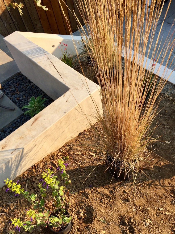 Idee per un giardino xeriscape minimalista esposto a mezz'ombra di medie dimensioni e dietro casa