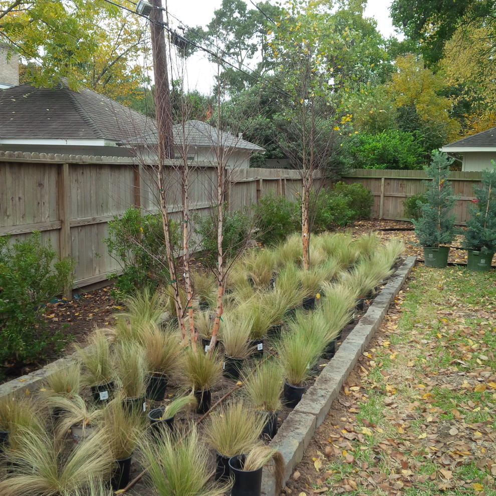 Inspiration for a contemporary landscaping in Houston.