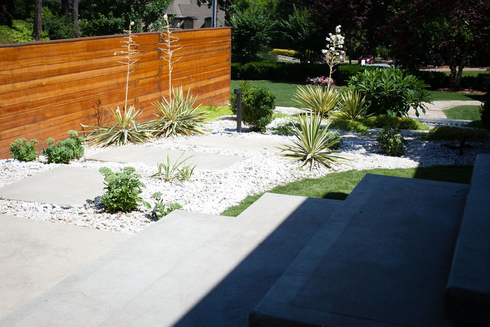 Foto di un giardino xeriscape moderno esposto a mezz'ombra di medie dimensioni e davanti casa in estate con un ingresso o sentiero e ghiaia