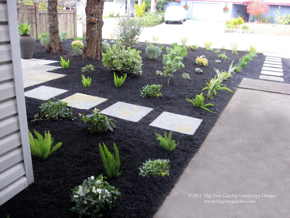 Idee per un piccolo giardino xeriscape minimalista esposto a mezz'ombra davanti casa in primavera con un ingresso o sentiero e pavimentazioni in cemento