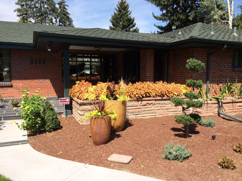 This is an example of a mid-century modern landscaping in Denver.
