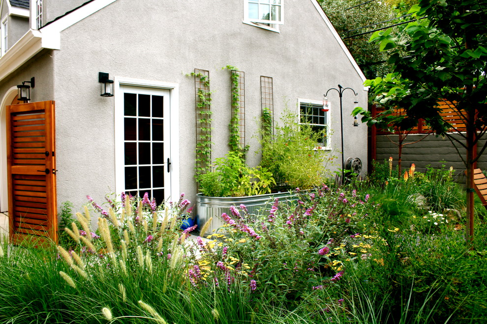 Modelo de jardín contemporáneo en patio trasero con jardín de macetas