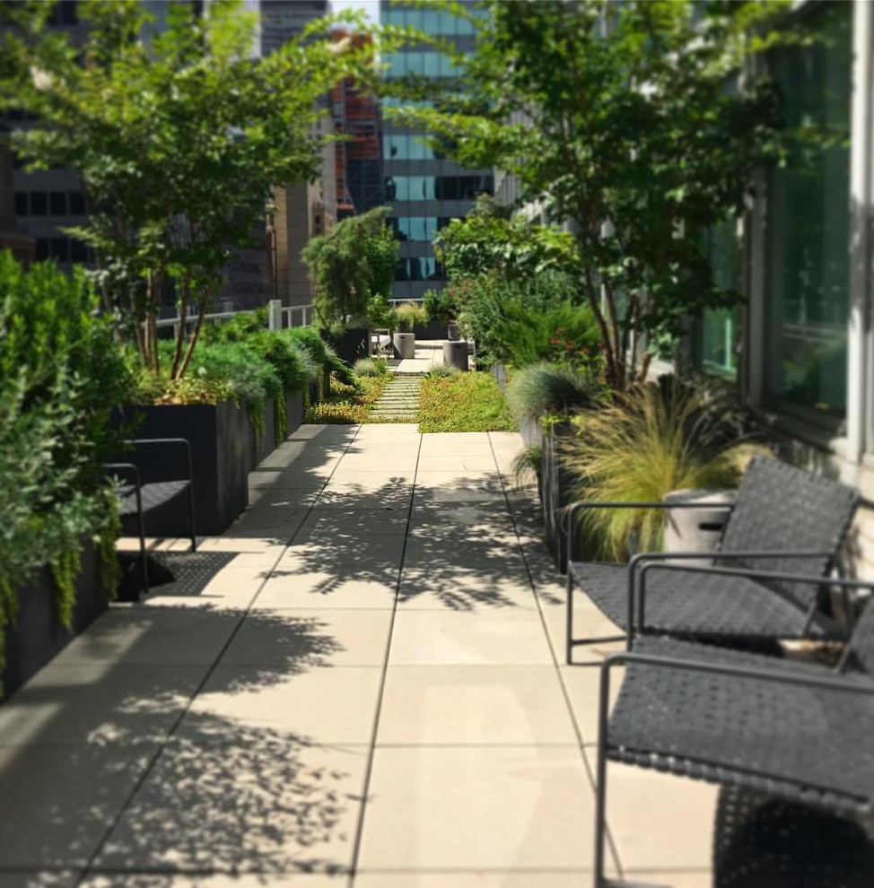 This is an example of a large contemporary roof full sun garden in New York.