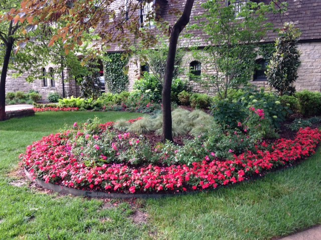Traditional garden in Other.